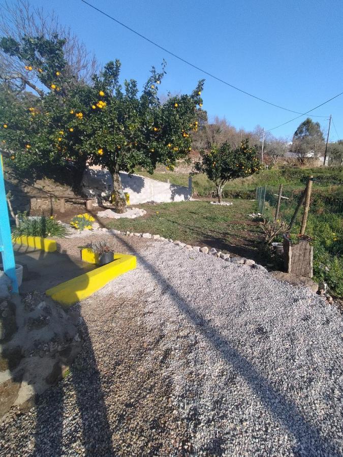 Casa Da Vitoria Villa Penela Exterior foto